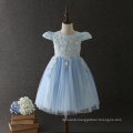 High quality OEM Princess Blue Short sleeves Embroidery Flower girls party dresses Lovely Fluffy Tulle baby Communion dresses
High quality OEM Princess Blue Short sleeves Embroidery Flower girls party dresses Lovely Fluffy Tulle baby Communion dresses